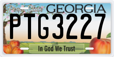 GA license plate PTG3227