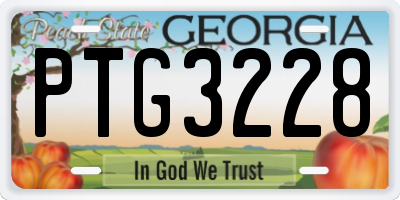 GA license plate PTG3228