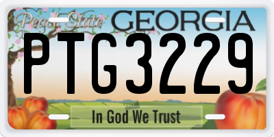 GA license plate PTG3229