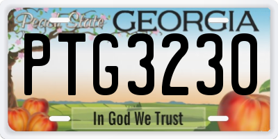 GA license plate PTG3230