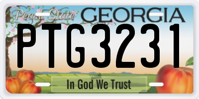 GA license plate PTG3231