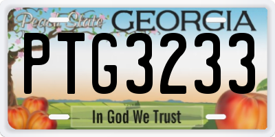 GA license plate PTG3233