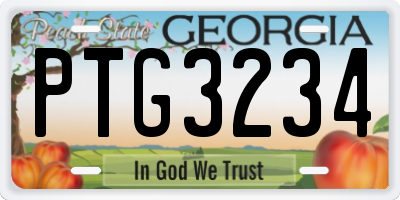 GA license plate PTG3234