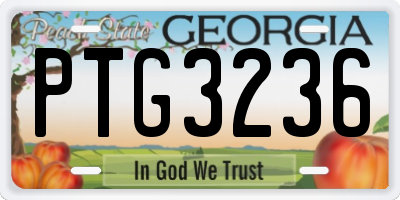 GA license plate PTG3236