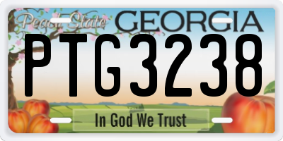GA license plate PTG3238