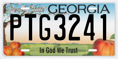GA license plate PTG3241