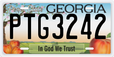 GA license plate PTG3242