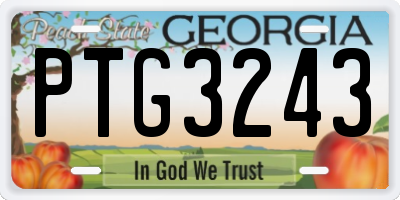 GA license plate PTG3243