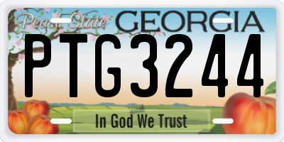 GA license plate PTG3244