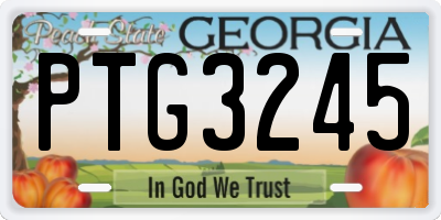 GA license plate PTG3245