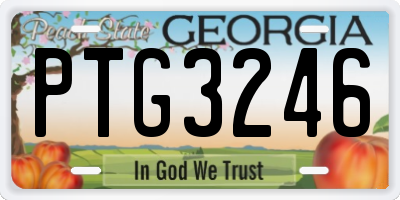 GA license plate PTG3246