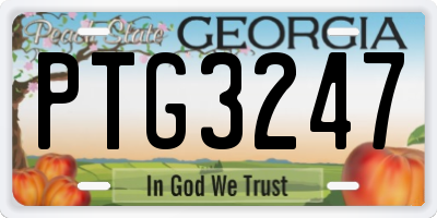 GA license plate PTG3247