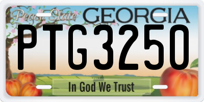 GA license plate PTG3250