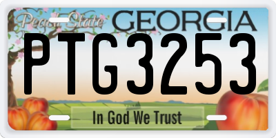 GA license plate PTG3253