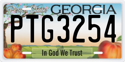 GA license plate PTG3254