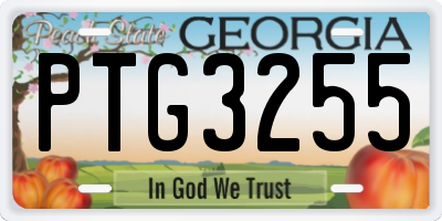 GA license plate PTG3255