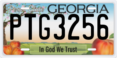 GA license plate PTG3256