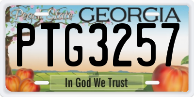 GA license plate PTG3257