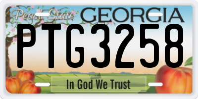 GA license plate PTG3258