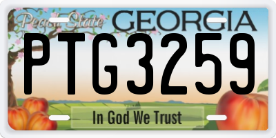 GA license plate PTG3259