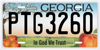 GA license plate PTG3260