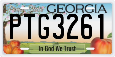 GA license plate PTG3261