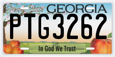 GA license plate PTG3262
