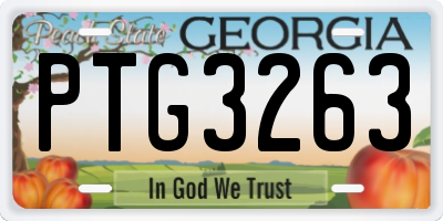 GA license plate PTG3263