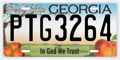 GA license plate PTG3264