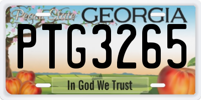 GA license plate PTG3265