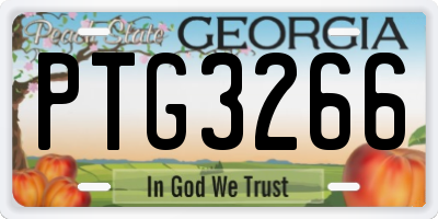GA license plate PTG3266