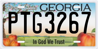GA license plate PTG3267