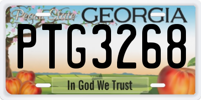 GA license plate PTG3268