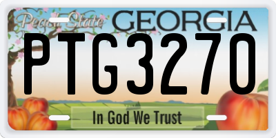 GA license plate PTG3270