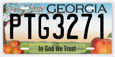 GA license plate PTG3271
