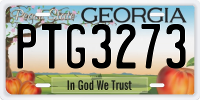 GA license plate PTG3273