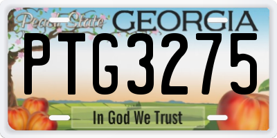 GA license plate PTG3275