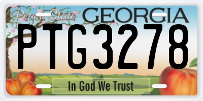 GA license plate PTG3278