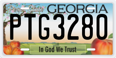 GA license plate PTG3280