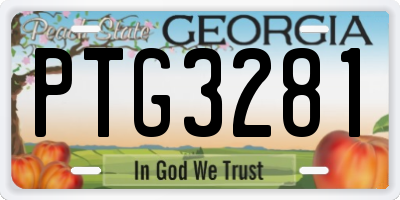GA license plate PTG3281