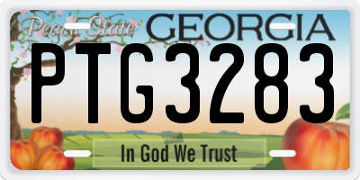 GA license plate PTG3283