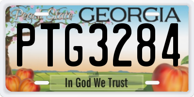 GA license plate PTG3284