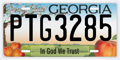 GA license plate PTG3285