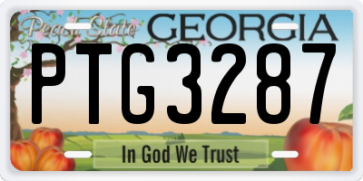 GA license plate PTG3287
