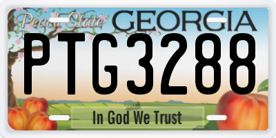GA license plate PTG3288