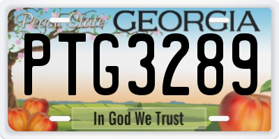GA license plate PTG3289