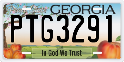 GA license plate PTG3291