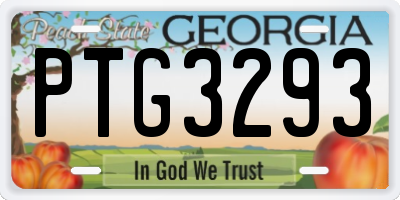 GA license plate PTG3293