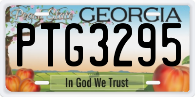 GA license plate PTG3295