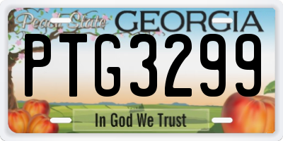 GA license plate PTG3299